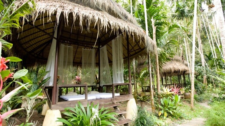 Wareerak Hot Spring & Wellness